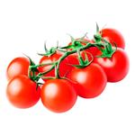 Rosii Cherry pe creangă