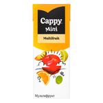 Nectar Cappy Mini Multifruit 200ml